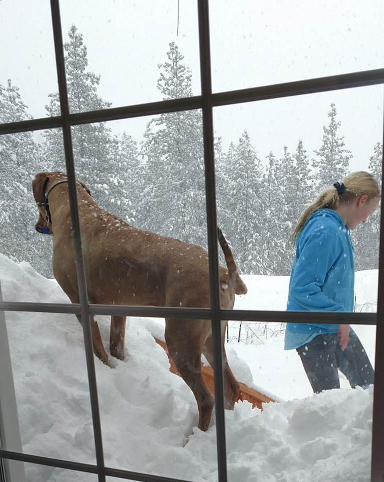 best real estate websites