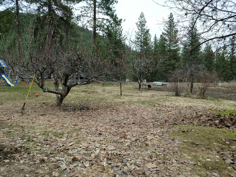 best real estate websites