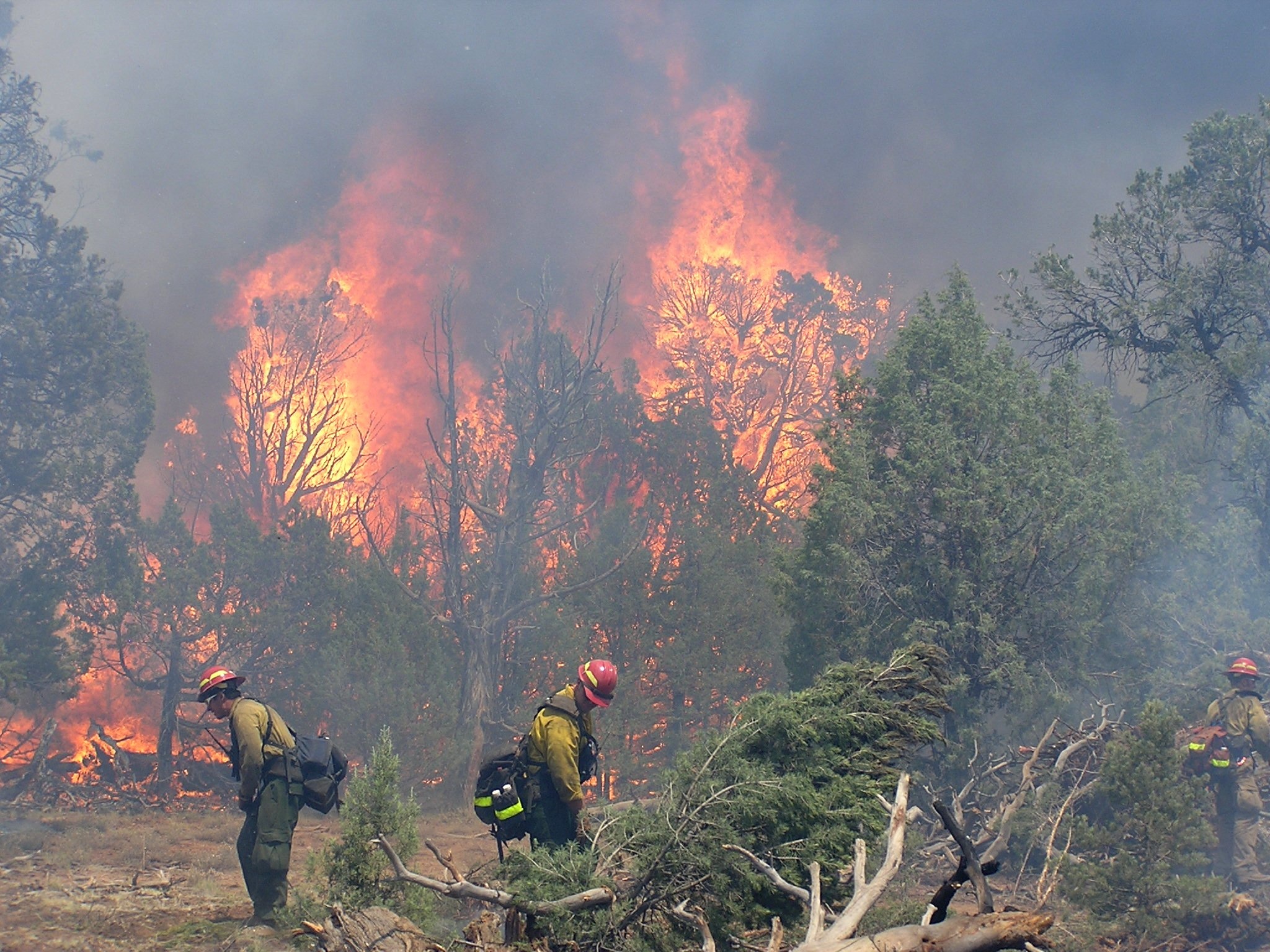 best real estate websites