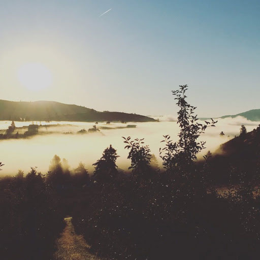 best real estate websites