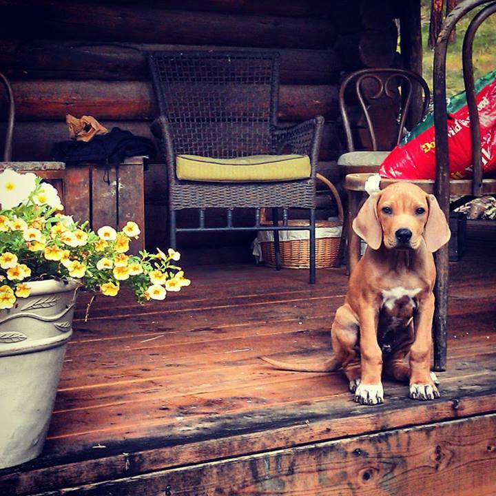 best real estate websites in miami