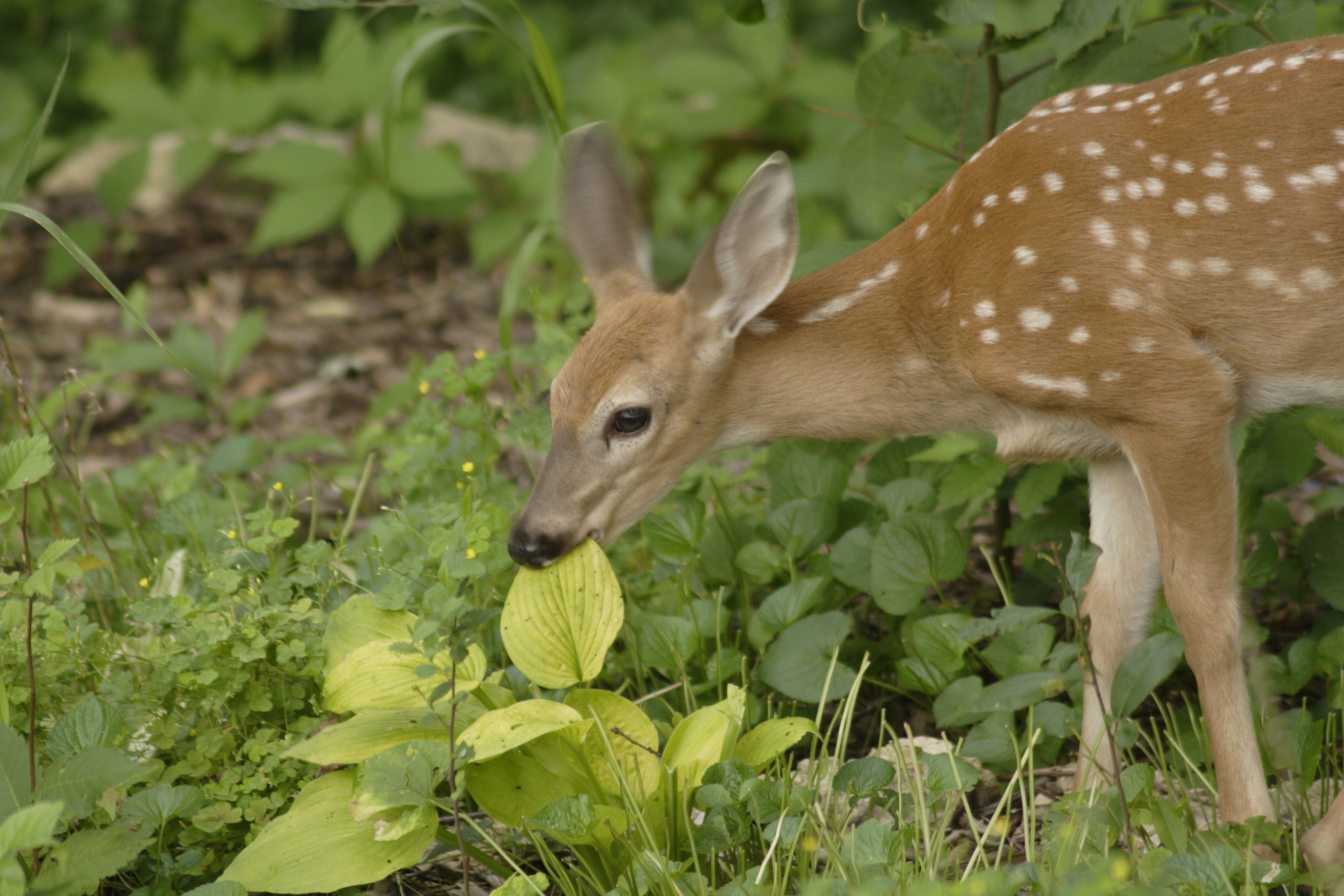 best real estate websites