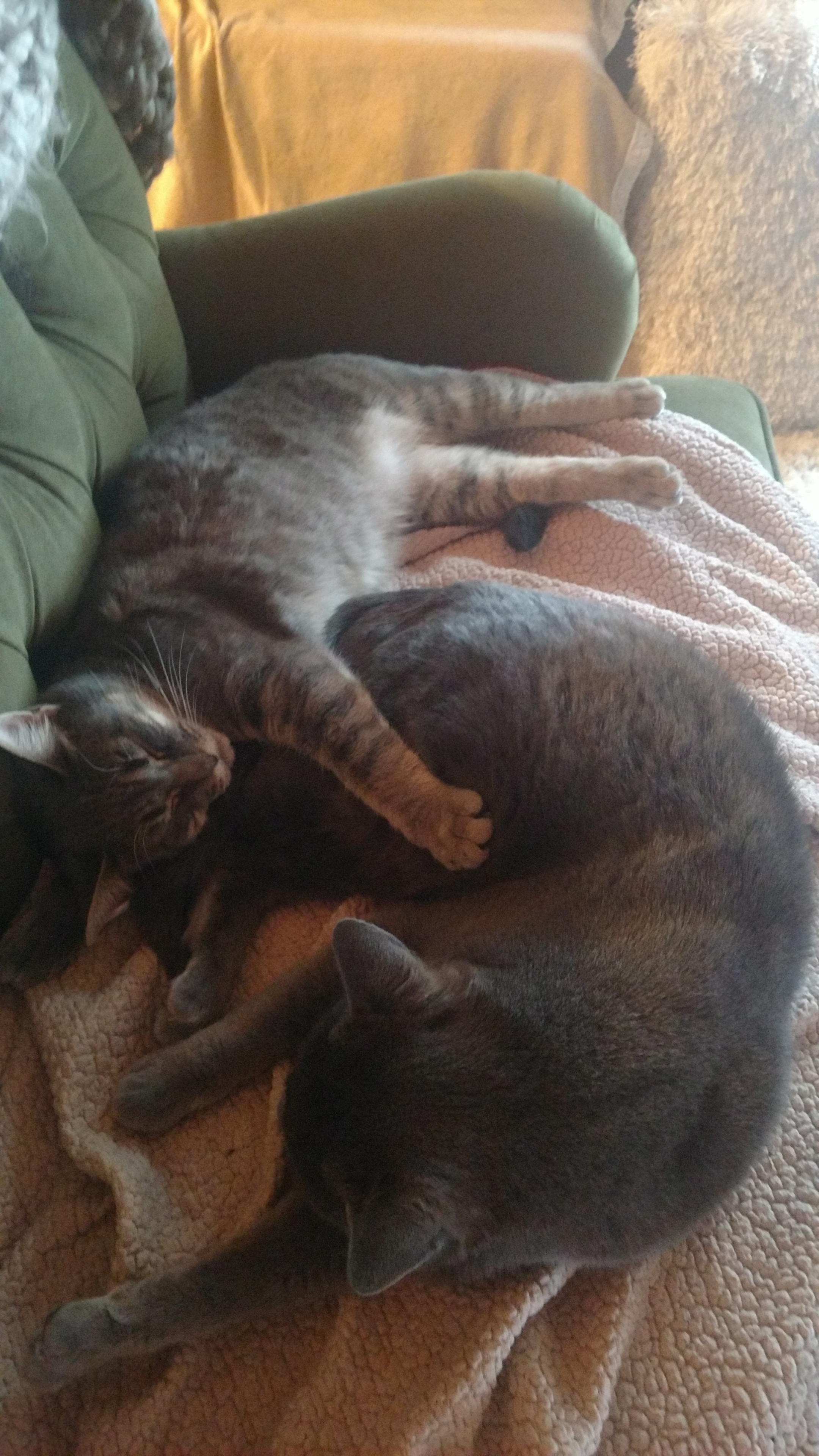 best real estate websites